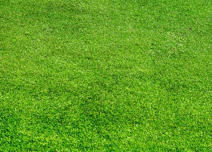 1660829584702097.jpg 1.jpg