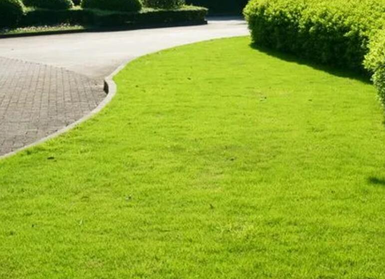 1660829590762875.jpg 2.jpg