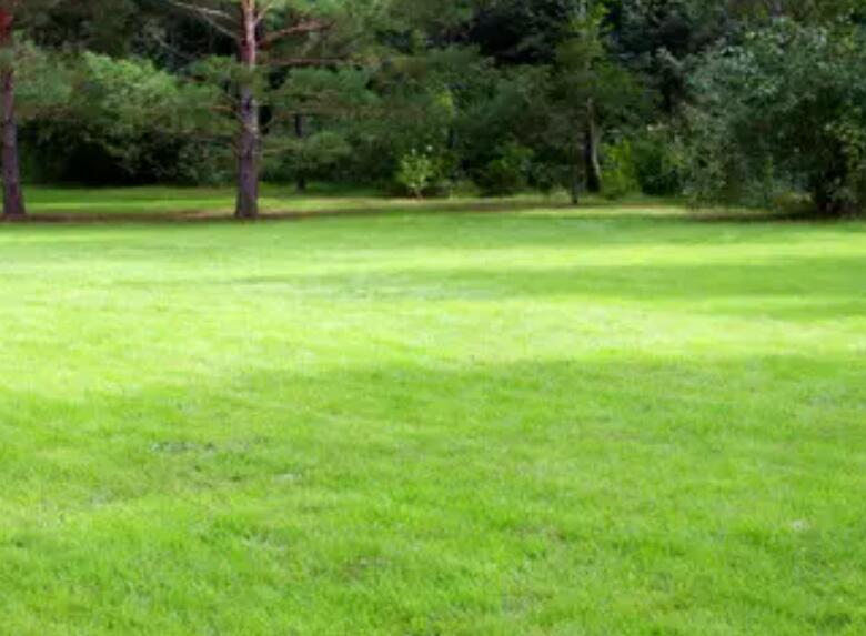 1660829597873280.jpg 3.jpg