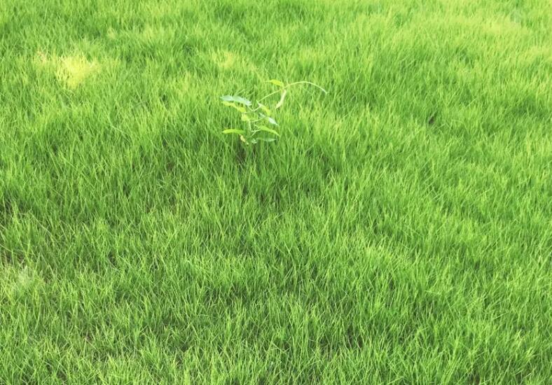 1660830280877553.jpg 1.jpg