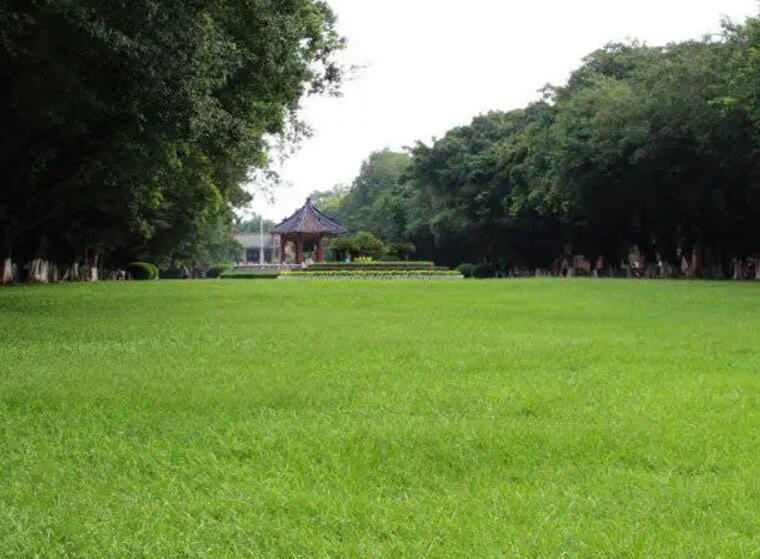 1660830317526674.jpg 4.jpg