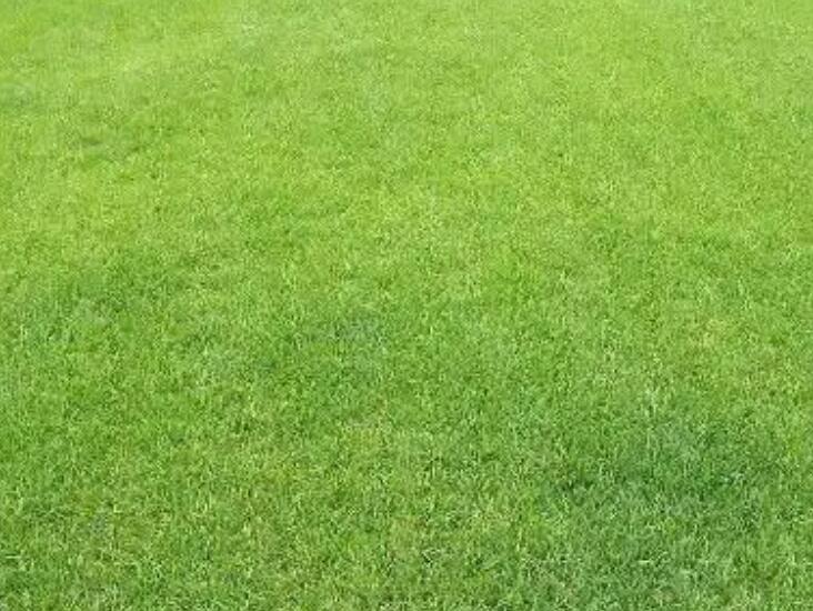 1660831751789345.jpg 1.jpg