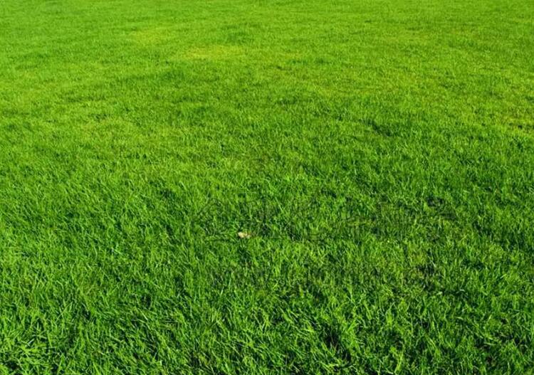 1660831759788683.jpg 2.jpg