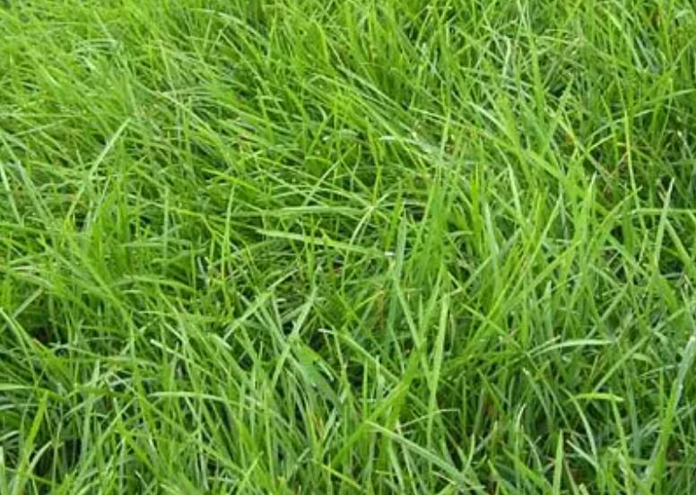 1660831768539883.jpg 3.jpg