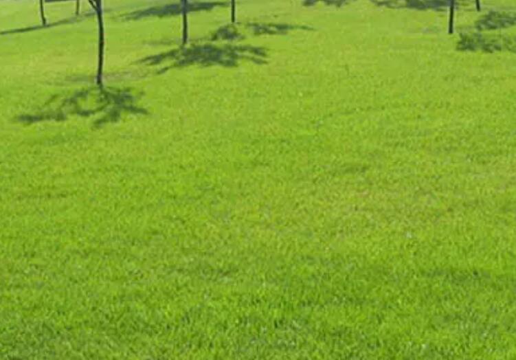 1660919855828571.jpg 1.jpg