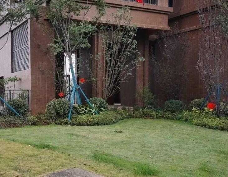 1660919902999618.jpg 2.jpg