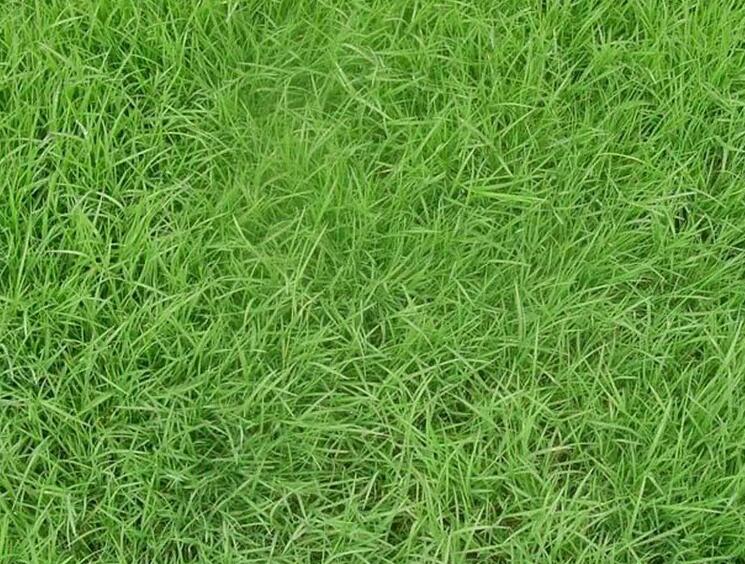 1660921062741585.jpg 1.jpg