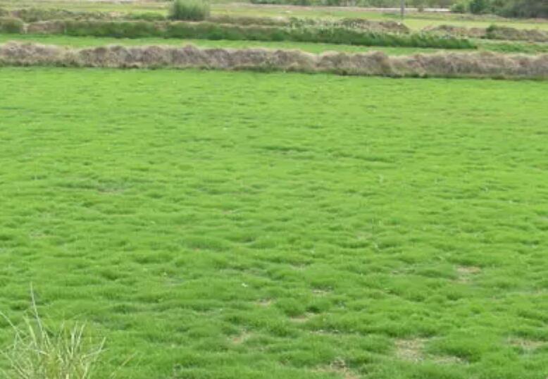 1660921106878022.jpg 3.jpg