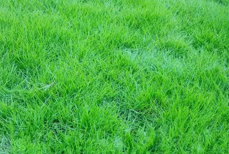 1660922385186612.jpg 1.jpg