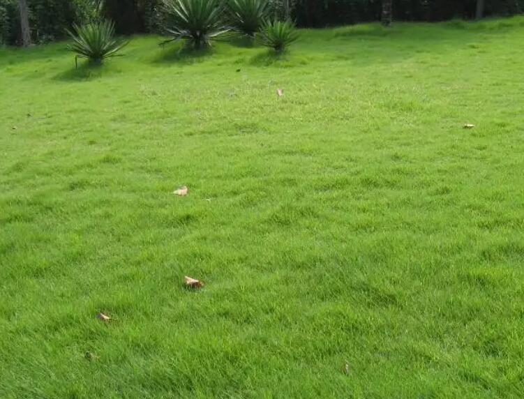 1660922392607517.jpg 2.jpg