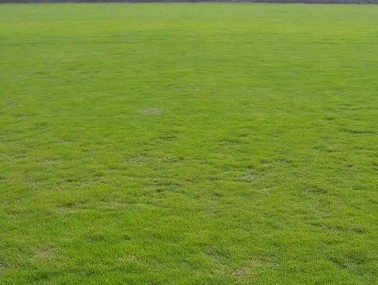 1660922401475610.jpg 3.jpg