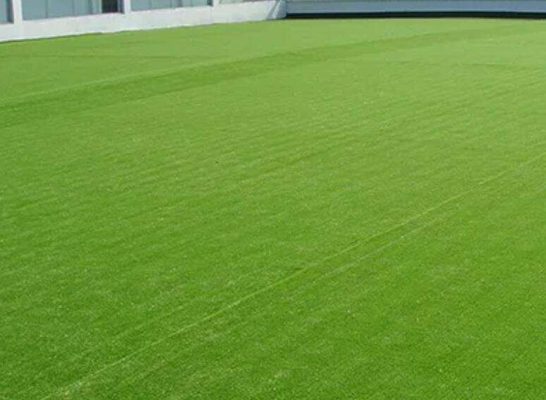 1661006676812750.jpg 1.jpg