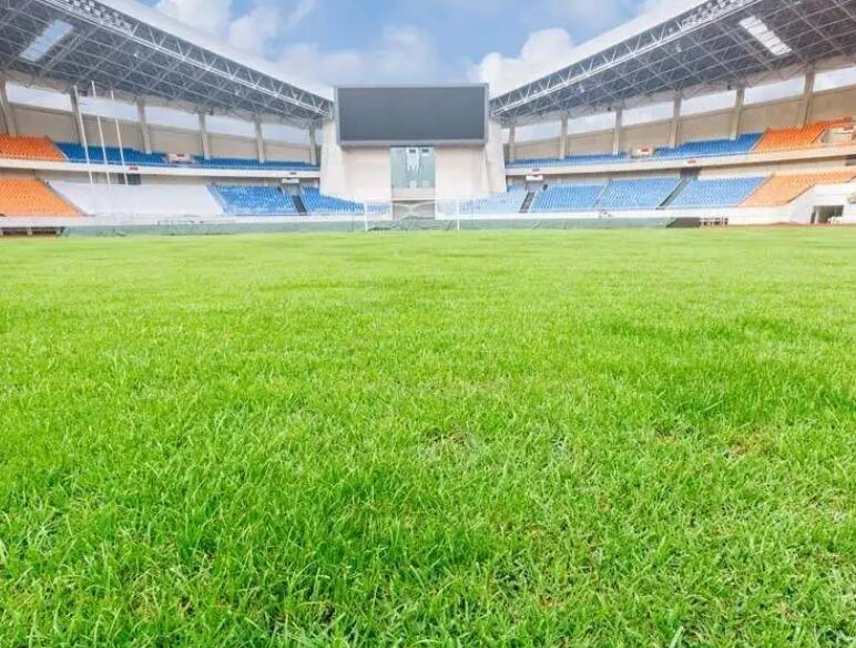 1661006786548694.jpg 3.jpg