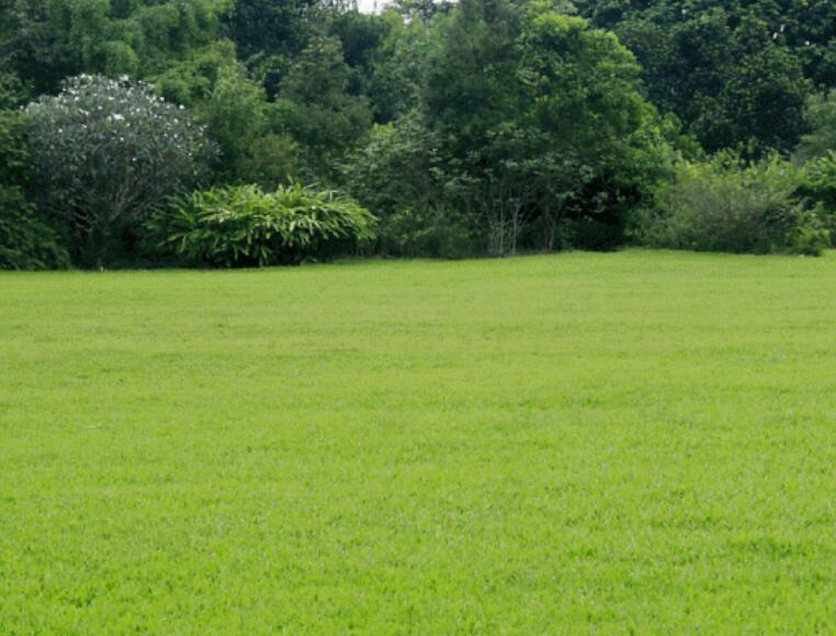 1661007858357963.jpg 2.jpg