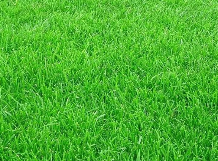 1661087140507287.jpg 2.jpg