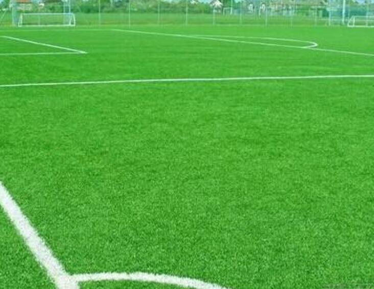 1661087916641211.jpg 1.jpg