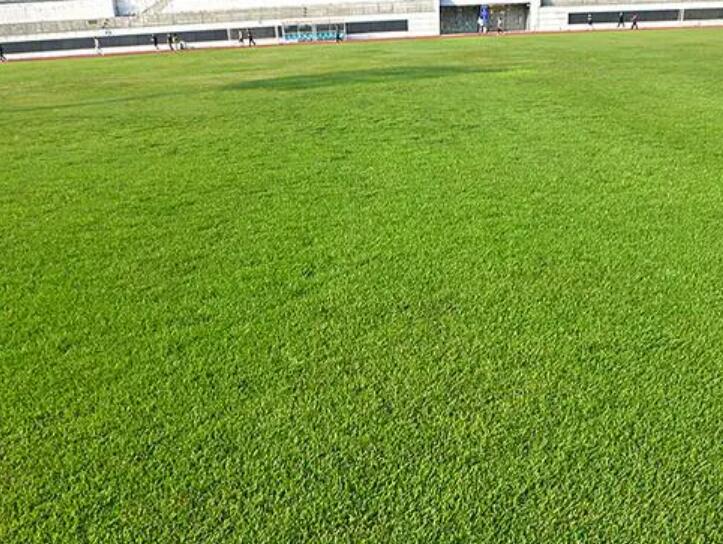 1661087930490493.jpg 3.jpg