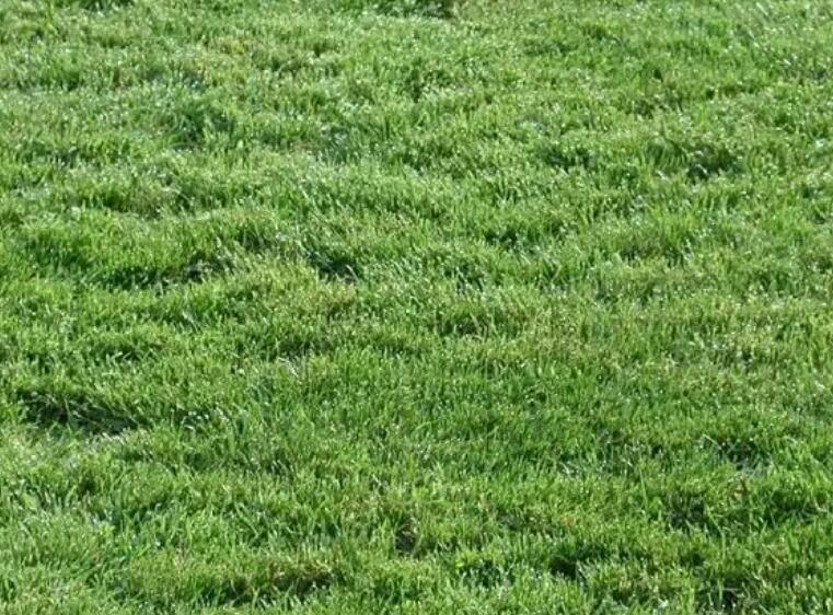 1661177207138102.jpg 1.jpg