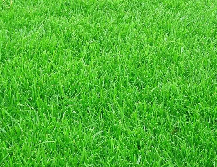 1661179243713873.jpg 2.jpg