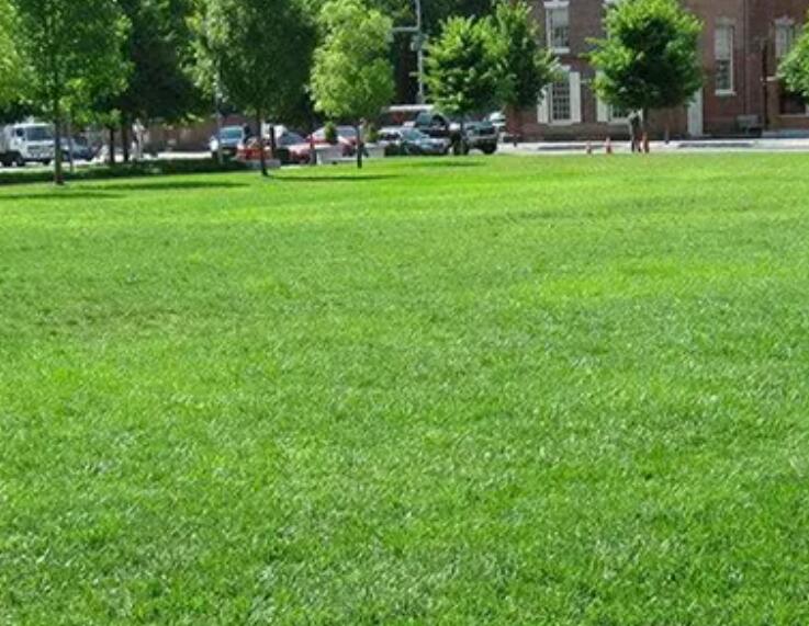 1661264354532810.jpg 2.jpg