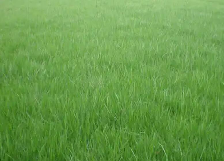 1661266305428630.jpg 1.jpg