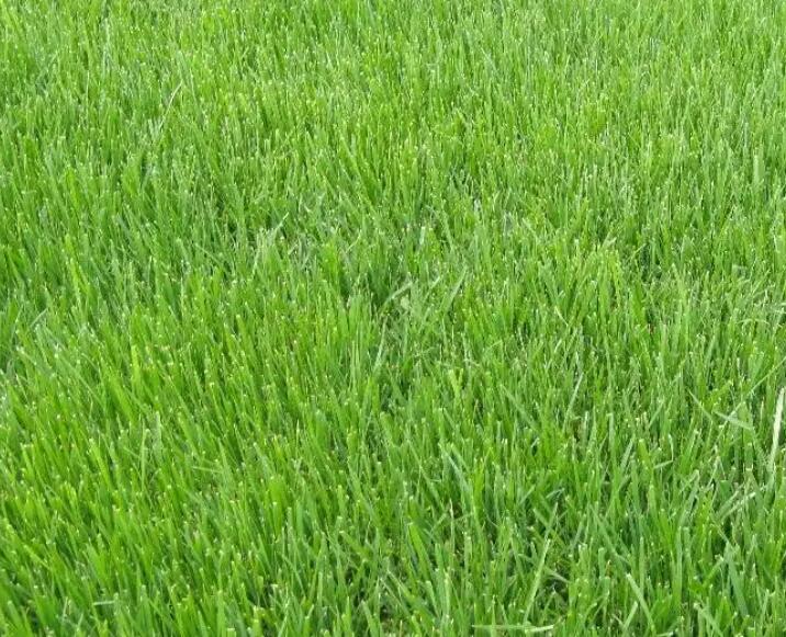 1661266313554213.jpg 2.jpg