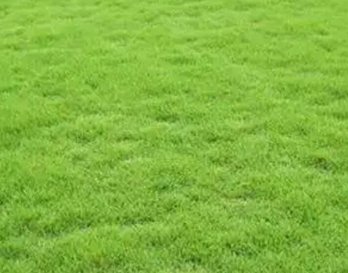 1661347784724967.jpg 2.jpg