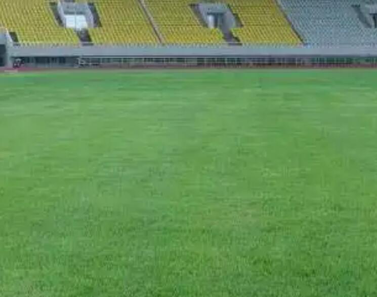 1661348521450946.jpg 1.jpg