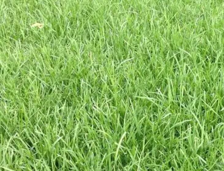 1661351063759594.jpg 000000.jpg