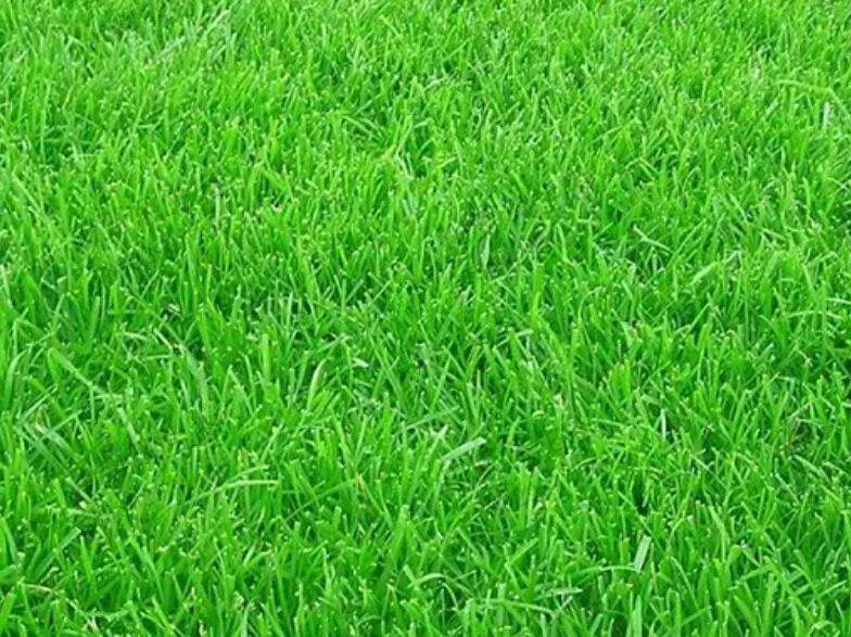 1661351111424821.jpg 99999999.jpg