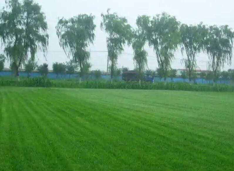 1661352498679420.jpg 阿布.jpg