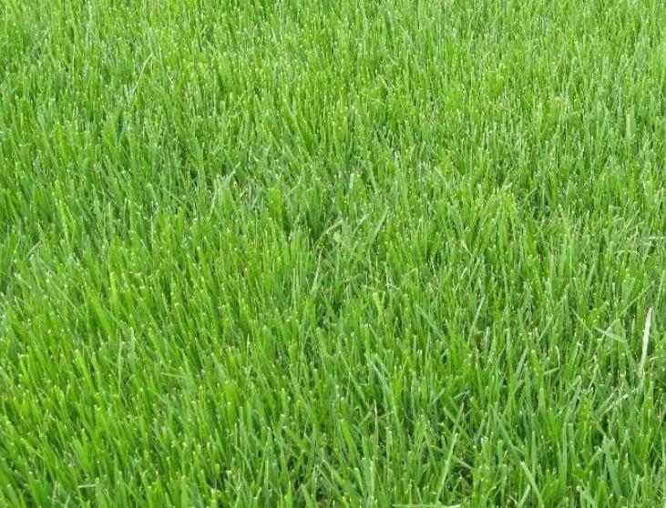 1661353813503920.jpg 2.jpg