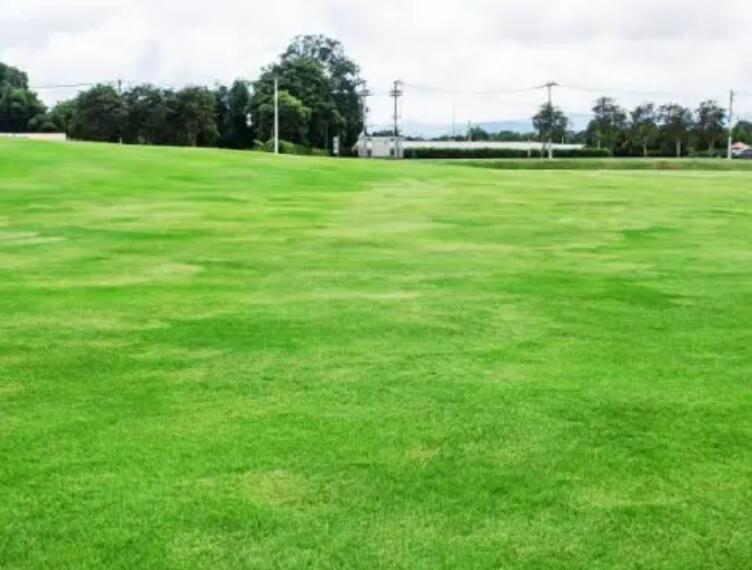 1661354318440315.jpg 果嶺操2.jpg