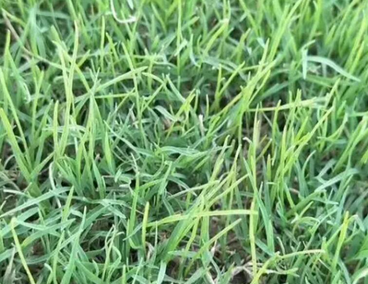 1661430159344911.jpg 1.jpg