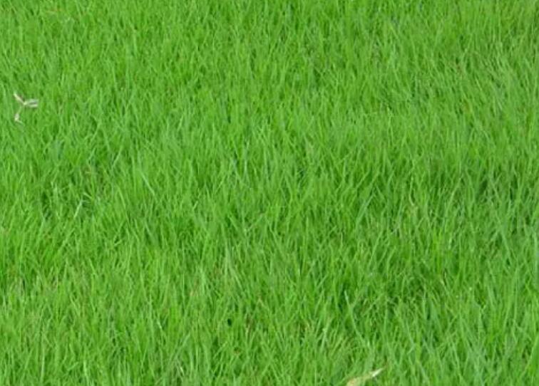 1661430166285651.jpg 2.jpg