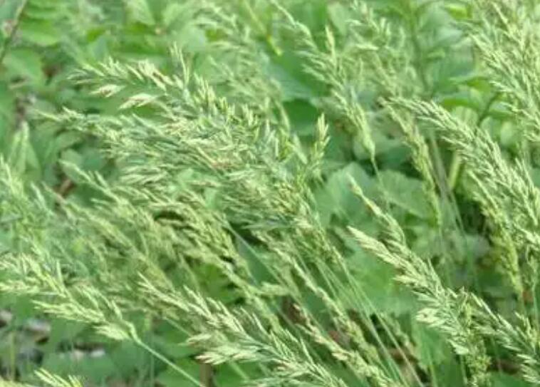 1661430175556945.jpg 3.jpg