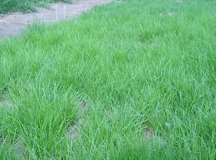 1661432164858710.jpg 2.jpg