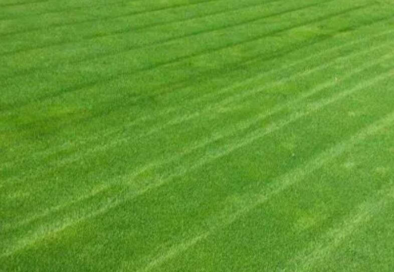 1661432673646386.jpg 2.jpg