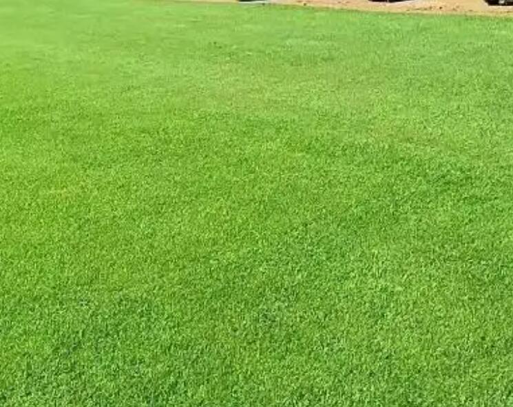 1661433486712042.jpg 1.jpg