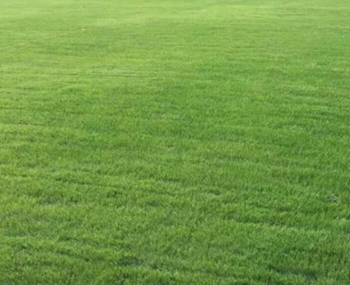 1661433494528743.jpg 2.jpg