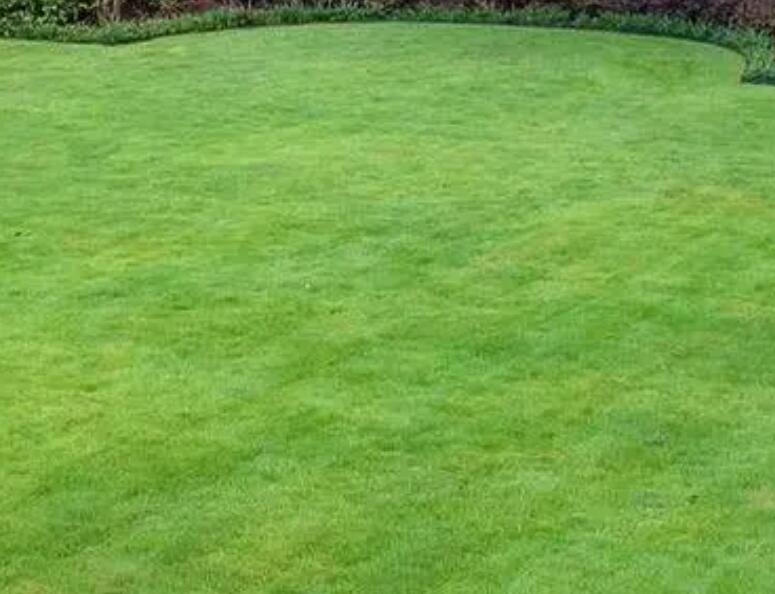 1661433502683750.jpg 3.jpg