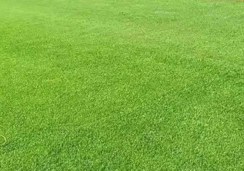 1661433968706419.jpg 3.jpg