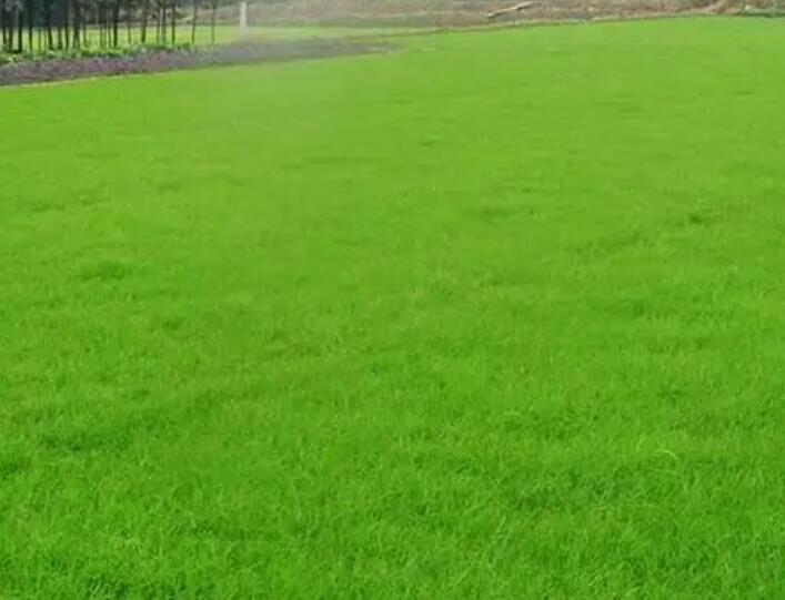 1661438874897550.jpg 11.jpg