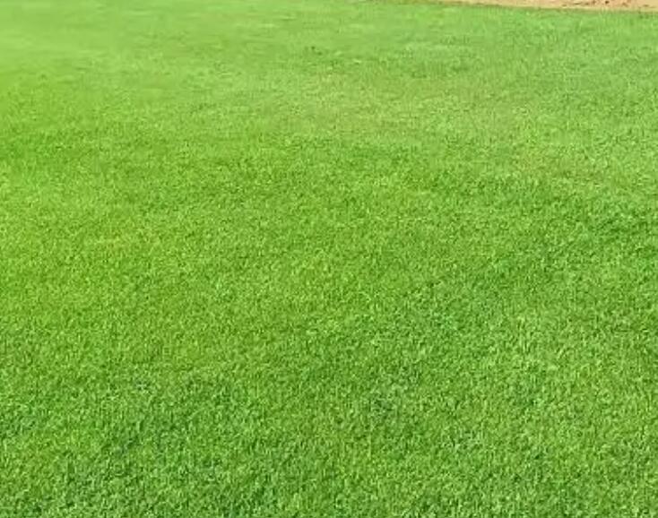 1661438894981862.jpg 阿布22222.jpg