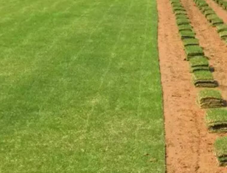 1661524293498916.jpg 2.jpg