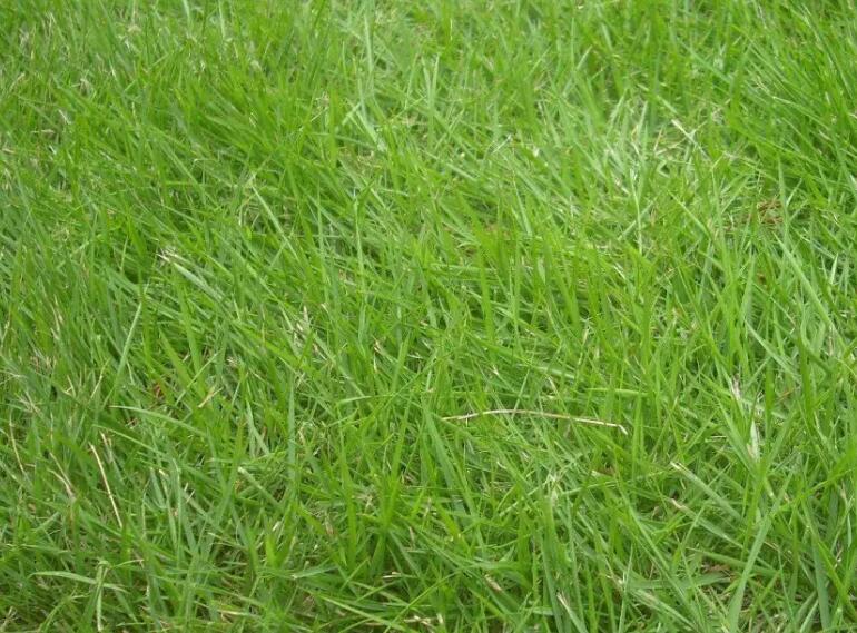 1661525445622216.jpg 1.jpg