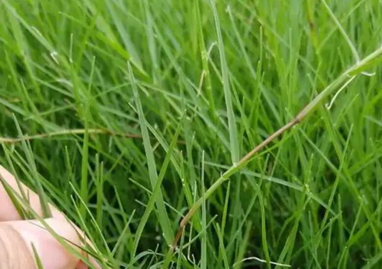 1661525452924755.jpg 2.jpg