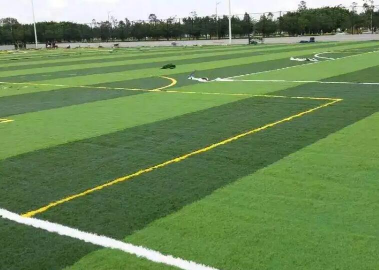 1661526153817358.jpg 33.jpg