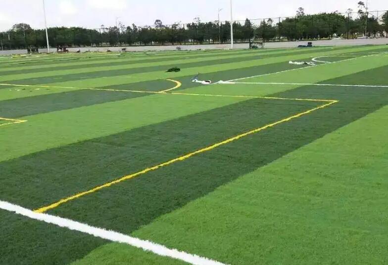 1661526838458553.jpg 0000000000000000000000000.jpg