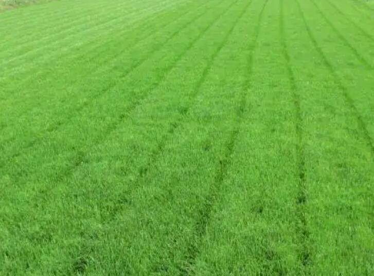 1661605450178427.jpg 8888.jpg